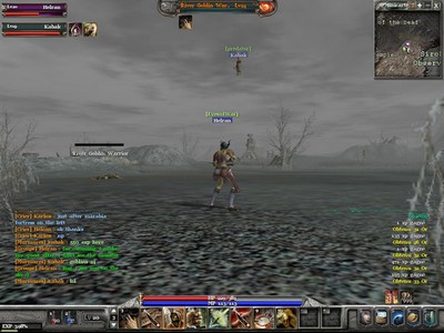 Bug dans Archlord